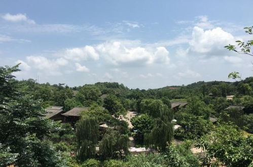 成都周邊隱藏一個(gè)4a級(jí)古鎮(zhèn),門票0元,在山水之間,正越來(lái)越火